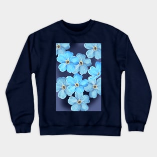 Blue Crewneck Sweatshirt